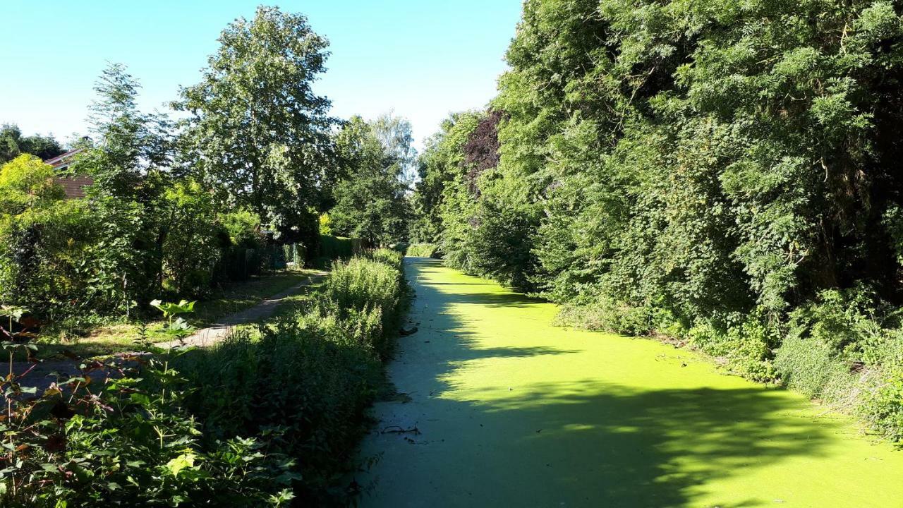 Ankerplatz Lägenhet Weener Exteriör bild
